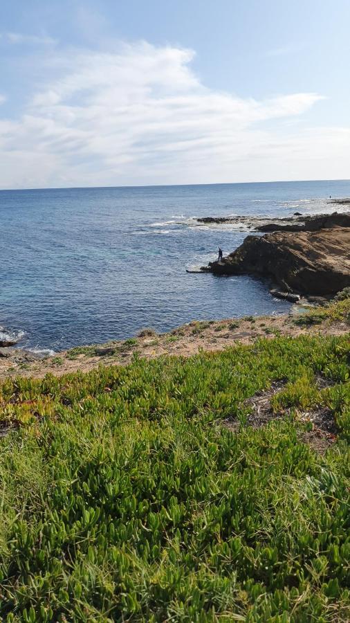 Apartment Sunny Near La Mata